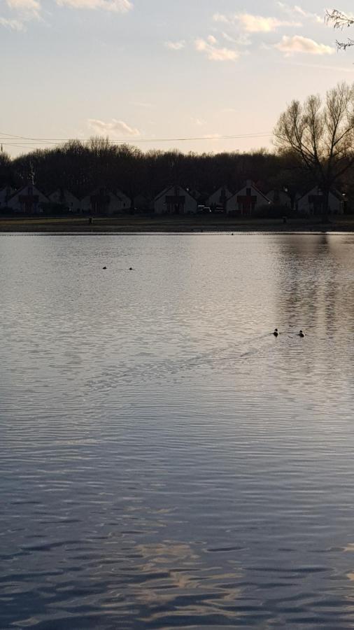 Vakantiewoning Maas En Waal Ewijk ภายนอก รูปภาพ